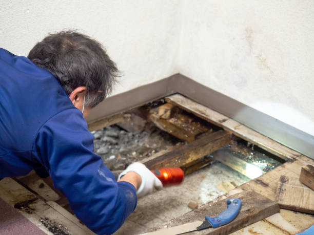 Best Bathroom Mold Remediation in Stone Ridge, NY
