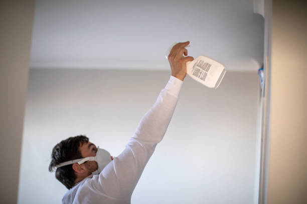 Best Basement Mold Remediation in Stone Ridge, NY